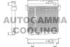 AUTOGAMMA 100248 Radiator, engine cooling